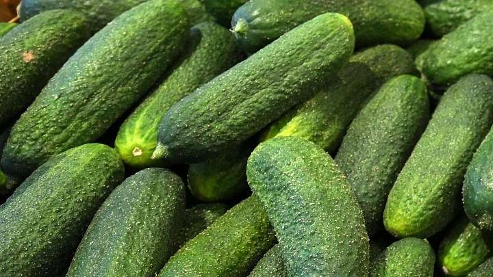 Глава Минсельхоза назвала сезонным подорожание огурцов в России