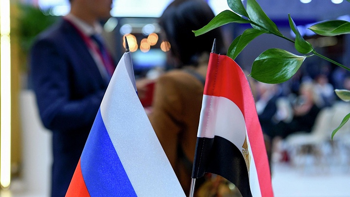 Минпромторг: Россия арендовала у Египта участок под промзону на 49 лет