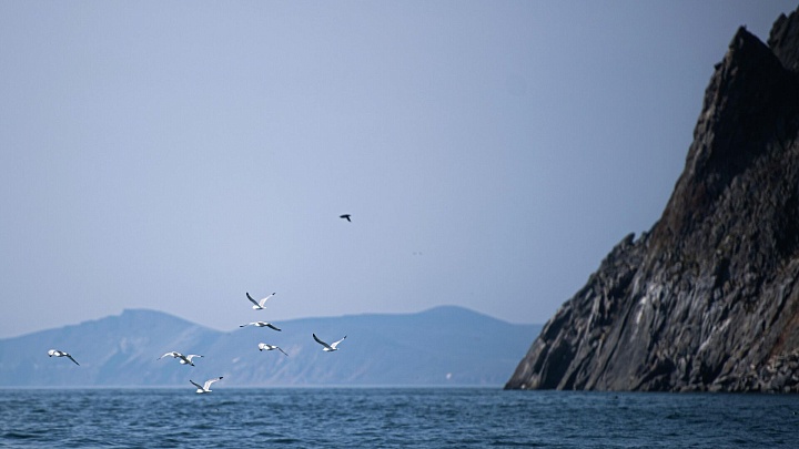 Эксперт оценил перспективы строительства тоннеля между Россией и США